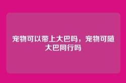 宠物可以带上大巴吗，宠物可随大巴同行吗