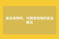 客运宠物吗，可携带宠物的客运服务