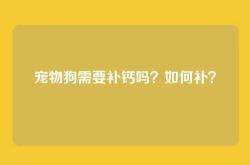 宠物狗需要补钙吗？如何补？