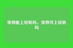 宠物能上轻轨吗，宠物可上轻轨吗