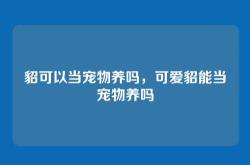 貂可以当宠物养吗，可爱貂能当宠物养吗