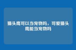 猫头鹰可以当宠物吗，可爱猫头鹰能当宠物吗