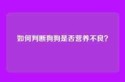 如何判断狗狗是否营养不良？