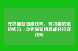 宠物猫繁殖赚钱吗，宠物猫繁殖赚钱吗→宠物猫繁殖真能轻松赚钱吗
