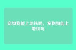 宠物狗能上地铁吗，宠物狗能上地铁吗