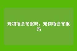 宠物龟会冬眠吗，宠物龟会冬眠吗