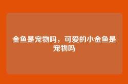 金鱼是宠物吗，可爱的小金鱼是宠物吗