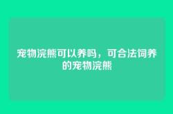 宠物浣熊可以养吗，可合法饲养的宠物浣熊