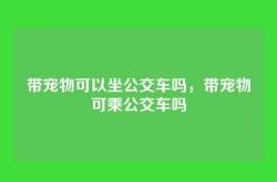 带宠物可以坐公交车吗，带宠物可乘公交车吗