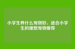 小学生养什么宠物好，适合小学生的理想宠物推荐