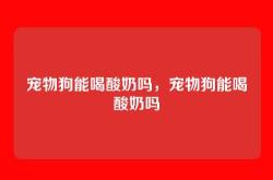 宠物狗能喝酸奶吗，宠物狗能喝酸奶吗