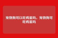 宠物狗可以吃鸡蛋吗，宠物狗可吃鸡蛋吗