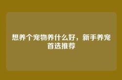 想养个宠物养什么好，新手养宠首选推荐