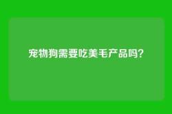宠物狗需要吃美毛产品吗？