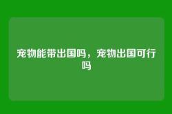 宠物能带出国吗，宠物出国可行吗