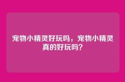 宠物小精灵好玩吗，宠物小精灵真的好玩吗？