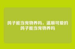 鸽子能当宠物养吗，温顺可爱的鸽子能当宠物养吗