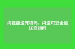 闪送能送宠物吗，闪送可安全运送宠物吗