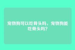 宠物狗可以吃骨头吗，宠物狗能吃骨头吗？