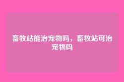 畜牧站能治宠物吗，畜牧站可治宠物吗