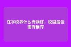 在学校养什么宠物好，校园最佳萌宠推荐