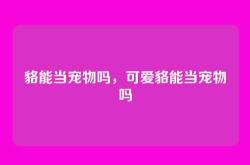 貉能当宠物吗，可爱貉能当宠物吗