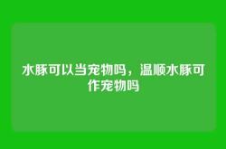 水豚可以当宠物吗，温顺水豚可作宠物吗