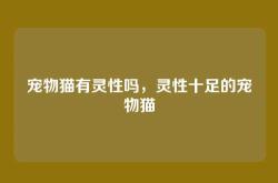 宠物猫有灵性吗，灵性十足的宠物猫