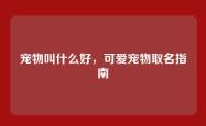 宠物叫什么好，可爱宠物取名指南