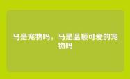 马是宠物吗，马是温顺可爱的宠物吗