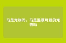 马是宠物吗，马是温顺可爱的宠物吗