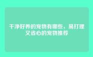 干净好养的宠物有哪些，易打理又省心的宠物推荐