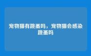 宠物猫有跳蚤吗，宠物猫会感染跳蚤吗