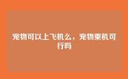 宠物可以上飞机么，宠物乘机可行吗