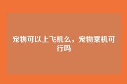 宠物可以上飞机么，宠物乘机可行吗