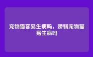 宠物猫容易生病吗，娇弱宠物猫易生病吗
