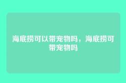 海底捞可以带宠物吗，海底捞可带宠物吗
