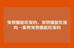 宠物猫能吃饭吗，宠物猫能吃饭吗→家养宠物猫能吃饭吗