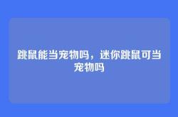 跳鼠能当宠物吗，迷你跳鼠可当宠物吗
