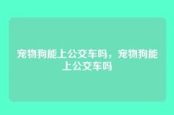 宠物狗能上公交车吗，宠物狗能上公交车吗