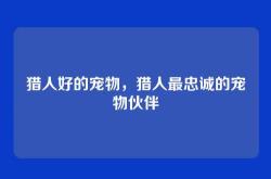 猎人好的宠物，猎人最忠诚的宠物伙伴