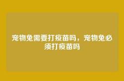 宠物兔需要打疫苗吗，宠物兔必须打疫苗吗