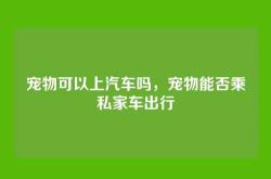 宠物可以上汽车吗，宠物能否乘私家车出行