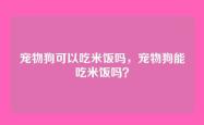 宠物狗可以吃米饭吗，宠物狗能吃米饭吗？