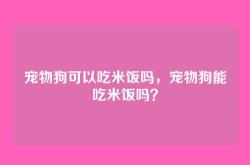 宠物狗可以吃米饭吗，宠物狗能吃米饭吗？