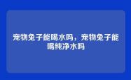 宠物兔子能喝水吗，宠物兔子能喝纯净水吗