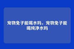 宠物兔子能喝水吗，宠物兔子能喝纯净水吗