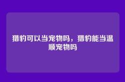 猎豹可以当宠物吗，猎豹能当温顺宠物吗