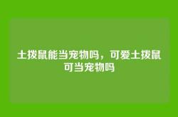 土拨鼠能当宠物吗，可爱土拨鼠可当宠物吗