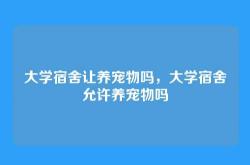 大学宿舍让养宠物吗，大学宿舍允许养宠物吗